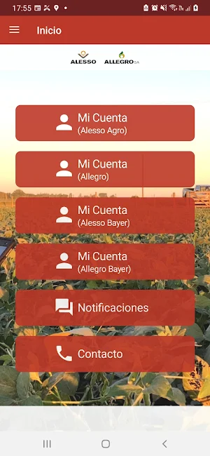 Grupo Allo Screenshot 0