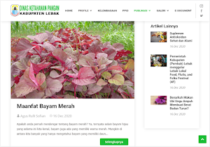 Disketapang Kabupaten Lebak Screenshot 3