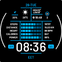 BIZI Watch Face