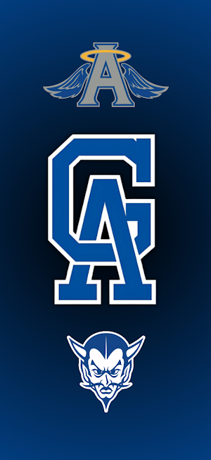 Gallia Academy Athletics Screenshot 0