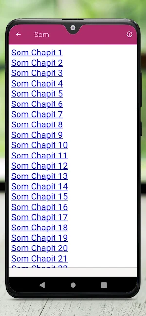 Bib Kreyol Screenshot 3
