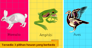 Marbel Sains: Anatomi Hewan Screenshot 3