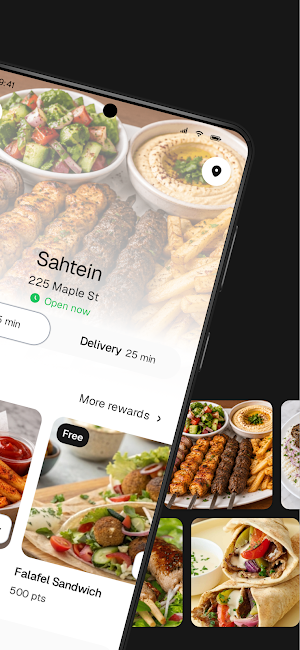 Sahtein To Go Screenshot 1
