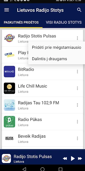 Lithuanian Radio Stations Screenshot 1