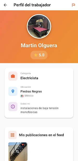 ObraFacil – Profesionales y IA Screenshot 1