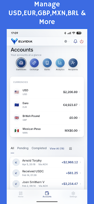 ELVIDIA Global Banking Screenshot 2