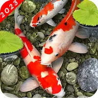 Koi Fish Live Wallpapers HD 4K