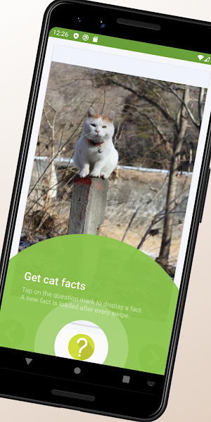 Cat Images and Facts Screenshot 2