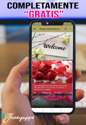 Rosas Hermosas para ti con Amor Screenshot 1