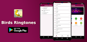 Birds Sound Ringtones Screenshot 0