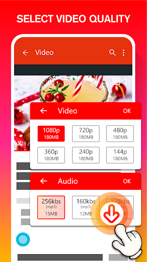 Video Downloader Master Screenshot 3