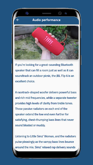 JBL Flip 6 Guide Screenshot 1