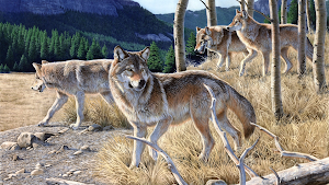 Wolf Simulator 3d Animal Games Screenshot 2
