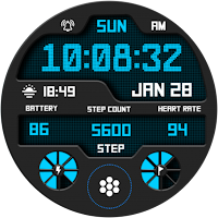 Digital Sport V12
