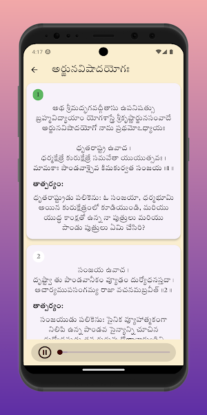 Bhagavad Gita Telugu Audio Screenshot 3