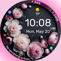 GM5 Peonies Flowers