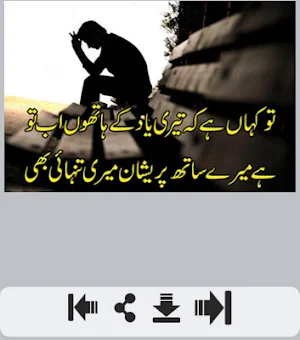 Tanhai Shayari Screenshot 3