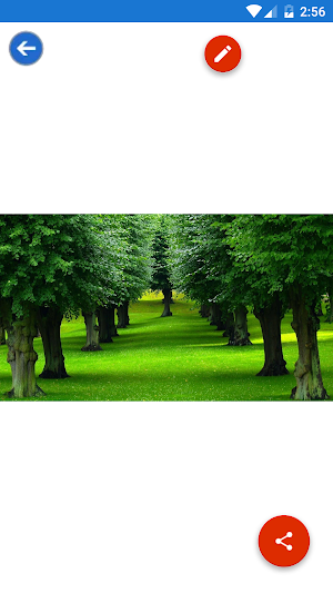 Garden, Landscape, Spring, Tree Wallpapers Screenshot 1