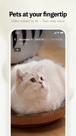 PickFun Screenshot 1