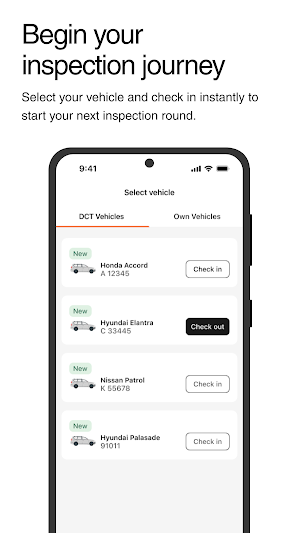 DCT E-Inspection Screenshot 1