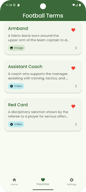 Football Terms Dictionary Screenshot 3