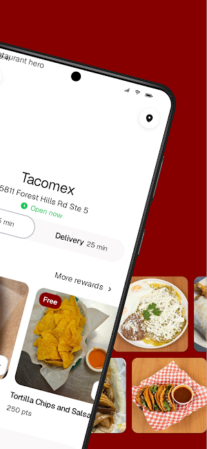 Tacomex Screenshot 1