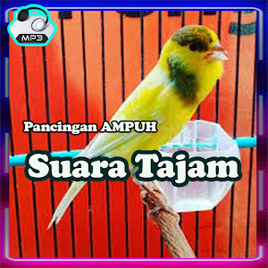 Masteran Ampuh Kenari Full Mp3 Screenshot 0