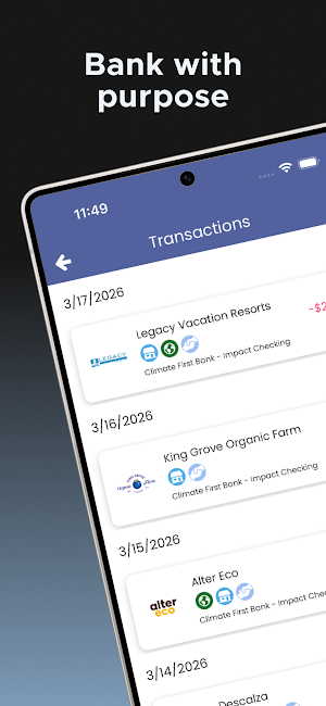 Impact Banking Screenshot 0