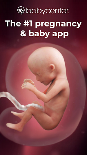 Pregnancy Tracker + Countdown to Baby Due Date Screenshot 0