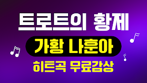 트로트 나훈아 노래모음 - 트로트 뽕짝 메들리 Screenshot 0