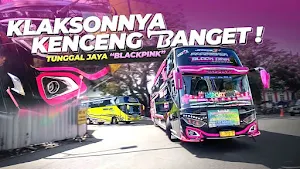 Bus Telolet Basuri Black Pink Screenshot 0