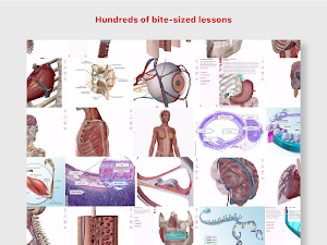 Anatomy & Physiology Screenshot 1