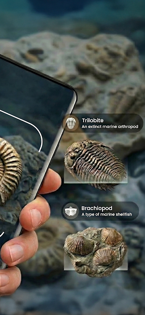 Fossil Identifier: Bone ID Screenshot 1