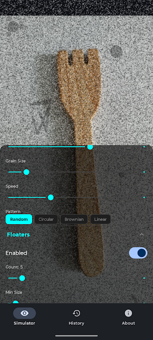 Visual Snow Simulator Screenshot 1
