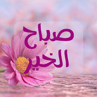 صباح الخير : صباح الورد
