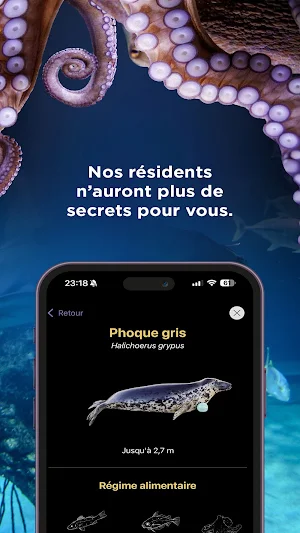 Aquazoom Screenshot 3