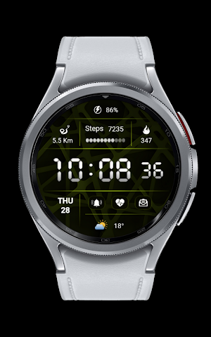 CNRwatch030 Screenshot 3