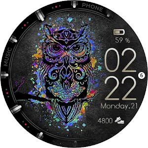 Color Owl Watch Face Wear OS Screenshot 2