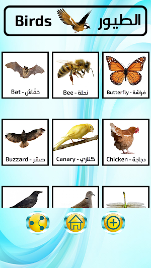 القاموس المُصوّر الناطق Screenshot 3