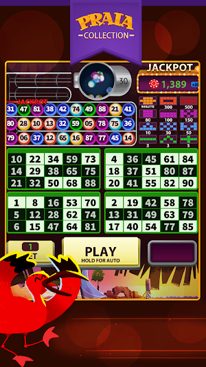 Jeri Video Bingo Screenshot 0