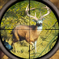 Wild Animal Hunting Games Gun