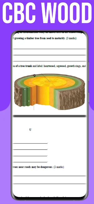 Wood Technology Grade 10 Exams Screenshot 2