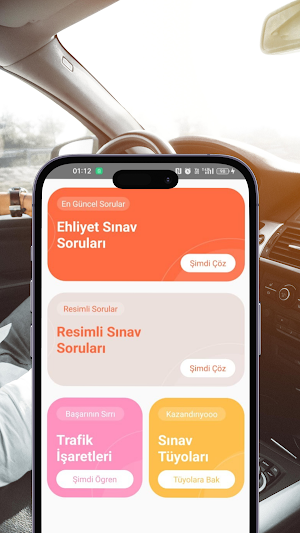 Ehliyet Sınav Soruları Screenshot 0