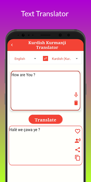 Kurdish Kurmanji Translation Screenshot 3