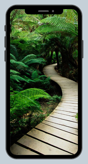 NATURE WALLPAPER Screenshot 1