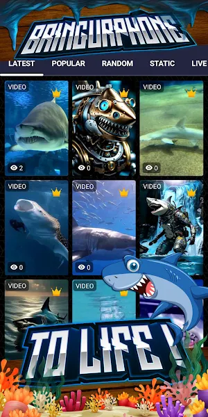 shark wallpaper Screenshot 1