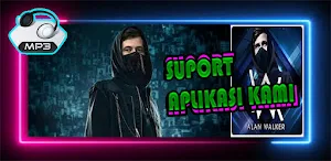 Alan Walker Songs Offline Screenshot 3