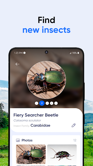 Bug ID: Insect Identifier AI Screenshot 3