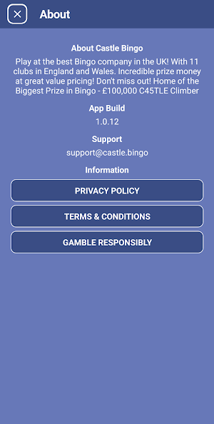 Castle Bingo Screenshot 3