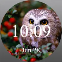 Owl - Watch Face